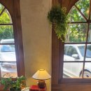 메리먼트 이미지