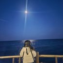 강산생선구이 | [포항 여행](2026.01.31) 강산생선구이/환호공원스페이스워크/오브레멘/호미곶/ㅈㅎ집들이