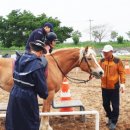 승마공원 이미지
