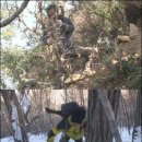 장수한약초