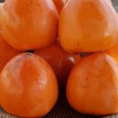 삼화농장2 이미지