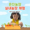 [강남 아이랑 갈만한곳] 은진농장 실내농장체험