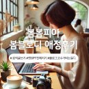 애정지수 | 봄봄피아 봄블로디 8기 애정후기 로직글쓰기와 나의 성장곡선