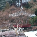 담소정 티스토리