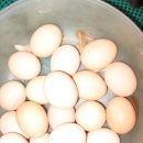 우리집토종닭 이미지