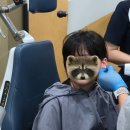 영도이비인후과의원 | 아이 진료 잘 보는 경산 영이비인후과(귀 출혈)