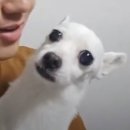 청산-2 이미지