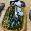 지번농장 | [안산] 신도정육농장 (항상 사람이 많은 정육식당 맛집 솔직한 후기)