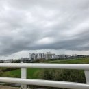 신풍농장 | 김제 24시간 하는 식당 24시 콩나물국밥 과 오징어볶음 후기