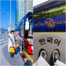 해랑열차 타고 부산 동백섬 누리마루 APEC하우스 방문 후기