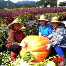 평창군농업기술센터 이미지