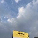 뚤레뚤레 | 2025 YTN 서울투어마라톤 10km 후기