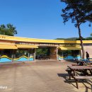 장성호 출렁다리(넘실정) 이미지