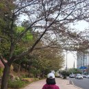 세상밖으로 이미지