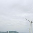 번영목장 이미지