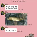 선파워 이미지