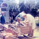 메리놀의원 이미지