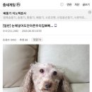 모루인형 만들기 이미지