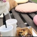 어라이브(Arrive) 이미지