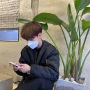 전주 햄스터 이미지