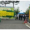 홍천쌀찐빵 이미지