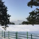 오달 이미지