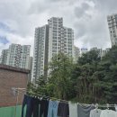 중앙동209 이미지