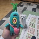 새하나의원 | 어른의 일상