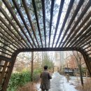 옥길버들초등학교병설유치원 | 급매옥길센트럴힐74형. 84형