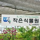 샤론꽃농장 이미지