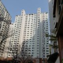 하단동113 이미지