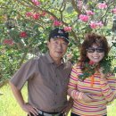 그때그시절 이미지