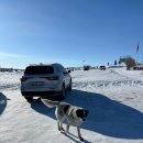 유목민의 눈으로 본 아시아: 몽골 유목문화의 전통과 현대 | 몽골 칭기즈칸 기마상 후기｜세계 최대 기마상 천진벌덕 초원 전망대 내부 관람 Ulaanbaatar Chinggis...