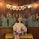 캠프바베큐 | [경기도] 안성 애견동반 캠핑 바베큐 식당 캠프데이즈 이용후기 (가격/예약방법/부대시설/가격 총정리)