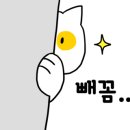 원데이블랑 이미지