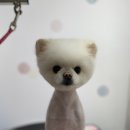 디오펫살롱 이미지