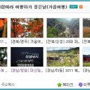 여행하기 좋은 날 이미지