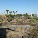 덕수리마을회관 이미지