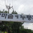 계백로(유성-26) 네이버블로그