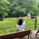 호프목장 이미지