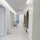 H.B.(꿀벌)동물병원 | 임신 중 복용 가능한 약물, 감기약도 안전할까?