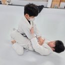 드림특공무술 | 광주 신가동 주짓수, 시작 전 너무 준비하지 않아도 됩니다