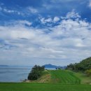 올레 골프존 네이버블로그