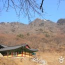 입구 티스토리