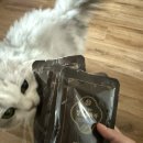 믿음원외탕전 이미지