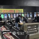 정선게임장 이미지