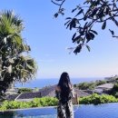 센스여행사(주) | 발리 패키지 자유여행 후기 (풀빌라 리조트 및 투어)