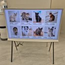 캣플헤븐 AK플라자금정점 이미지