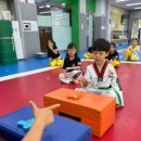 K용인대 태권도장 이미지