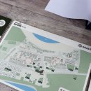 퇴근길-안개 | 안개주의보와 함께 한 태안 곰섬 캠핑장 S17 데크 후기